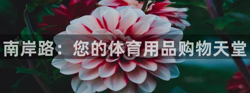欧陆娱乐测速软件下载：南岸路：您的体育用品购物天堂