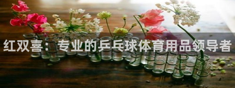 欧陆公司在哪里