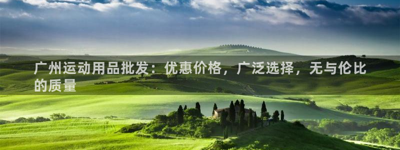 欧陆娱乐总代理：广州运动用品批发：优惠价格，广泛选择