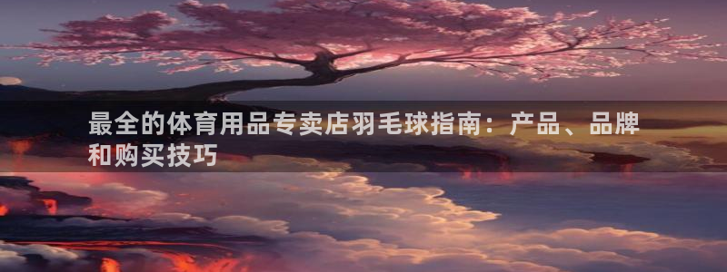 欧陆软件官网：最全的体育用品专卖店羽毛球指南：产品、
