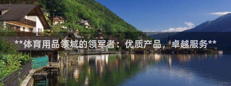 欧陆娱乐平台咋样啊安全吗：**体育用品领域的领军者：