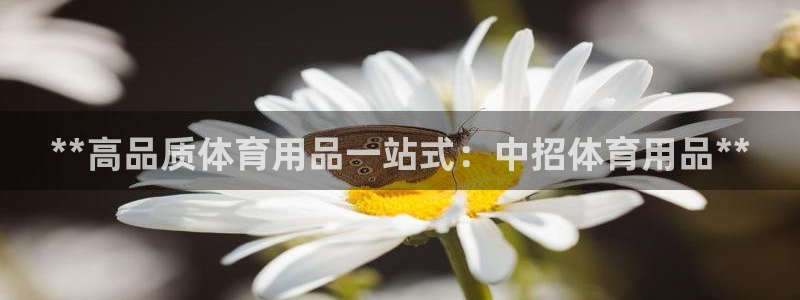 欧陆娱乐总代理：**高品质体育用品一站式：中招体育用