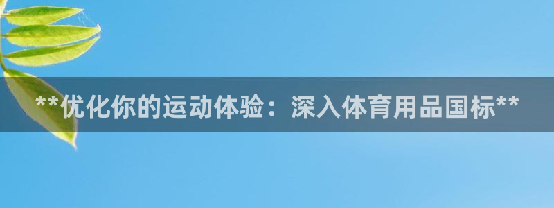 欧陆娱乐安全吗：**优化你的运动体验：深入体育用品国