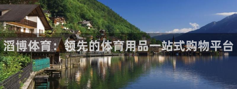 欧陆娱乐脚本怎么下载：滔博体育：领先的体育用品一站式