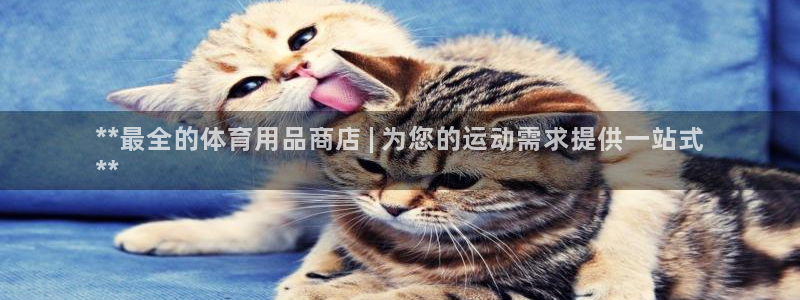 欧陆娱乐登录平台：**最全的体育用品商店 | 为您的