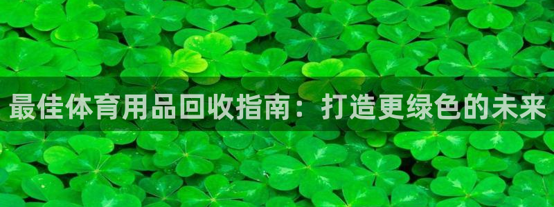 欧陆娱乐是那个旗下的品牌公司：最佳体育用品回收指南：
