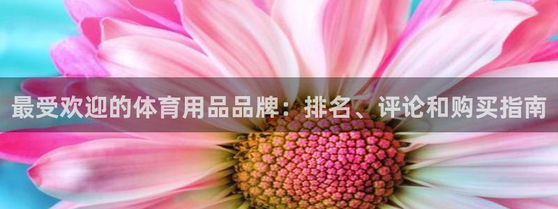 欧陆娱乐平台登录：最受欢迎的体育用品品牌：排名、评论