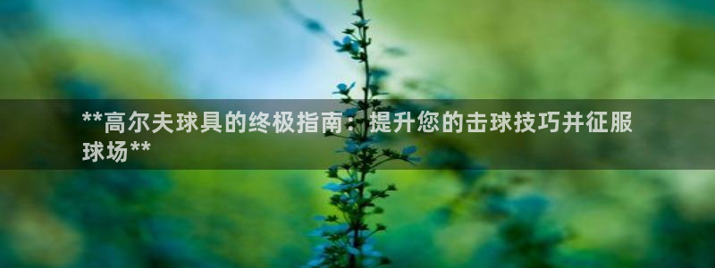 欧陆娱乐脚本怎么下载：**高尔夫球具的终极指南：提升