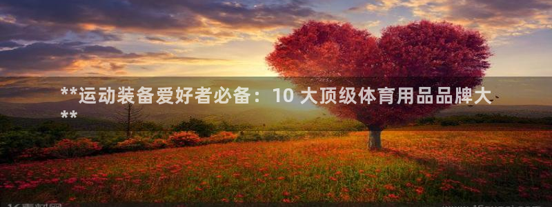 欧陆娱乐客服人工电话：**运动装备爱好者必备：10 