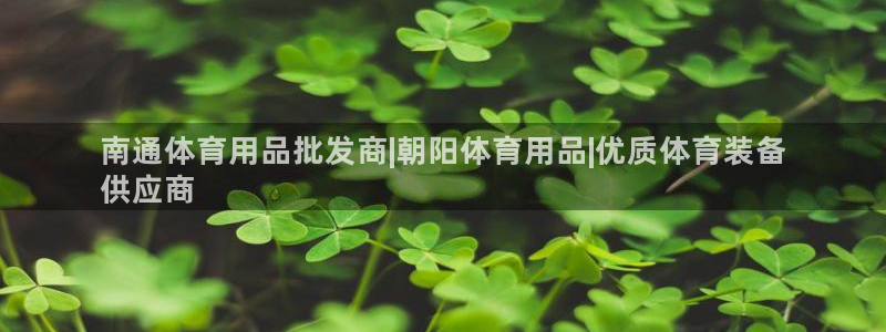 欧陆娱乐测试官网：南通体育用品批发商|朝阳体育用品|