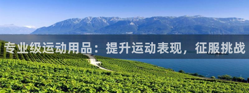 欧陆娱乐平台登录不上去了：专业级运动用品：提升运动表