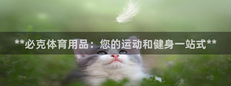 欧陆娱乐平台登陆地址是什么样的：**必克体育用品：您