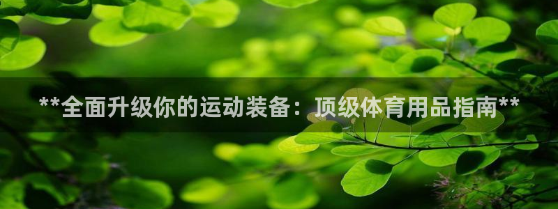 欧陆娱乐挂机怎么玩的：**全面升级你的运动装备：顶级
