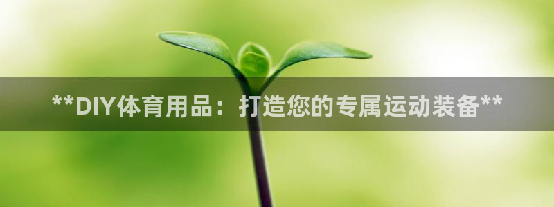 欧陆娱乐官网：**DIY体育用品：打造您的专属运动装