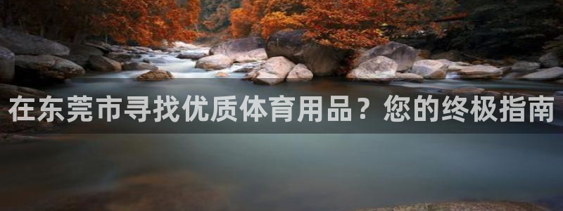 欧陆娱乐测速网站：在东莞市寻找优质体育用品？您的终极