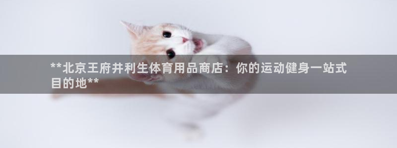 欧陆娱乐招商主管：**北京王府井利生体育用品商店：你