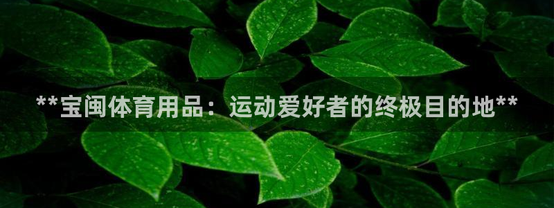 欧陆娱乐官网下载安装：**宝闽体育用品：运动爱好者的