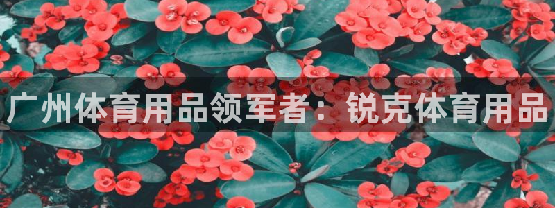 欧陆娱乐app攻略：广州体育用品领军者：锐克体育用品