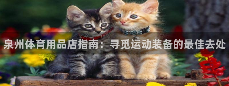 欧陆娱乐简介：泉州体育用品店指南：寻觅运动装备的最佳
