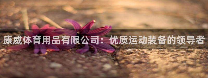 欧陆娱乐合法吗?：康威体育用品有限公司：优质运动装备