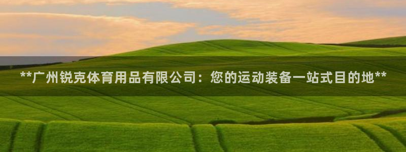 欧陆娱乐公司产品介绍图片：**广州锐克体育用品有限公