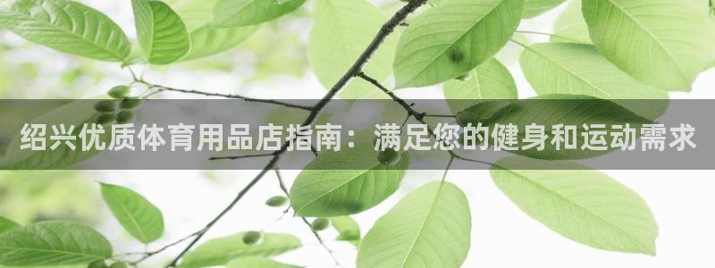 欧陆娱乐代理多少个点位啊：绍兴优质体育用品店指南：满