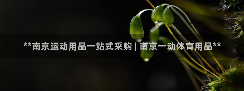 欧陆娱乐登录官网入口