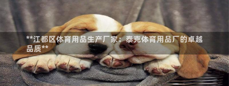 欧陆娱乐计划预测软件下载：**江都区体育用品生产厂家