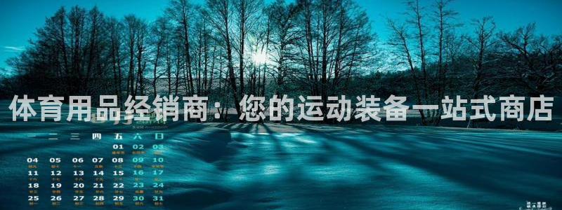 欧陆娱乐登陆官网下载：体育用品经销商：您的运动装备一