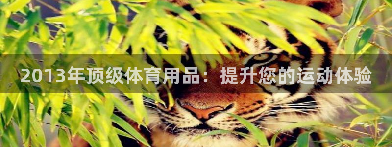欧陆娱乐息7o777ts=0：2013年顶级体育用品