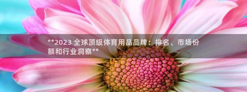 欧陆娱乐能提现嘛?：**2023 全球顶级体育用品品