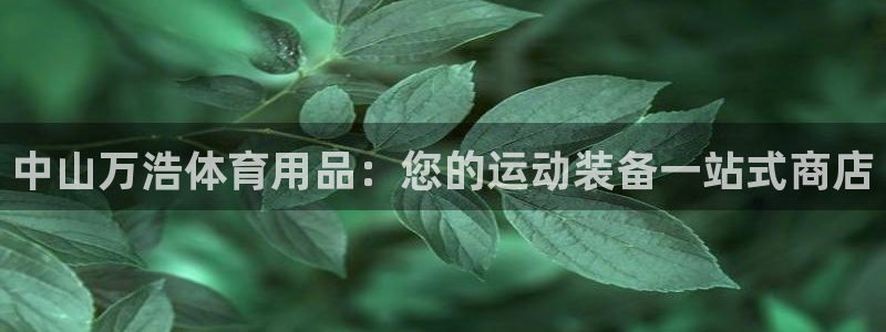 欧陆娱乐公司产品介绍：中山万浩体育用品：您的运动装备