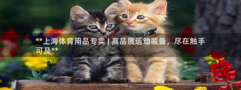 欧陆娱乐注册链接安全吗：**上海体育用品专卖 | 高