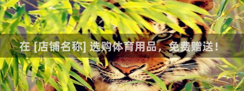 欧陆娱乐总代：在 [店铺名称] 选购体育用品，免费赠