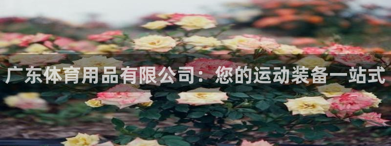欧陆娱乐怎么注册账号：广东体育用品有限公司：您的运动