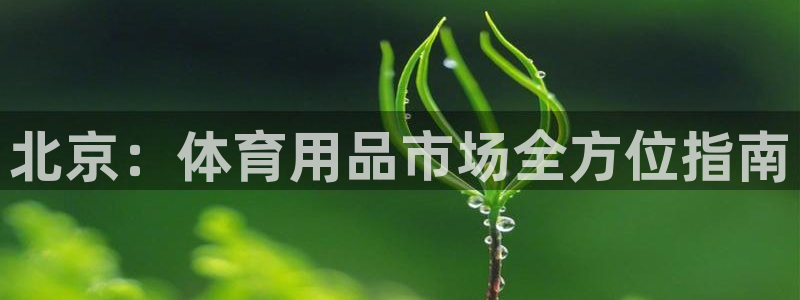 欧陆娱乐太阳：北京：体育用品市场全方位指南