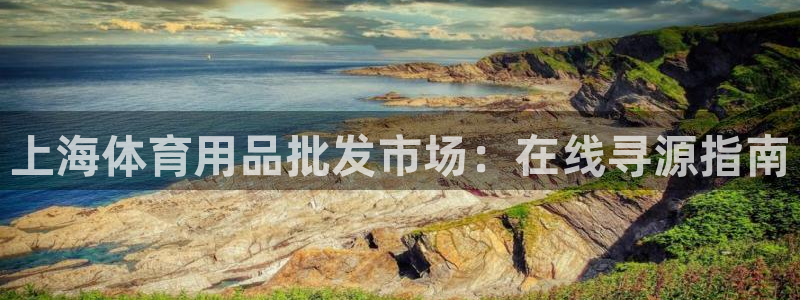 重庆欧陆娱乐有限公司地址：上海体育用品批发市场：在线