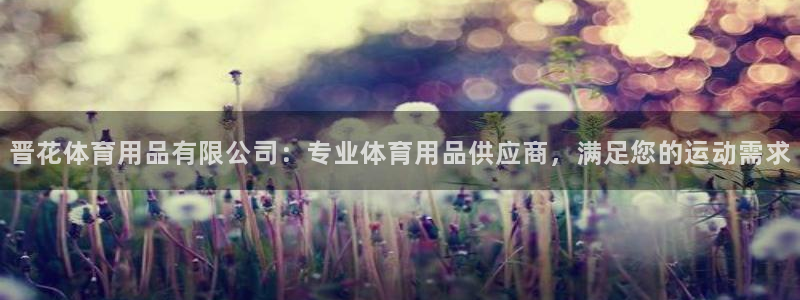 欧陆娱乐代理 贴吧官网：晋花体育用品有限公司：专业体