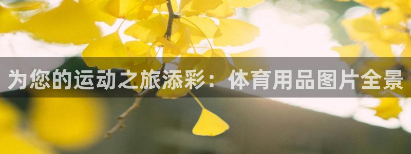 欧陆娱乐怎么注册会员：为您的运动之旅添彩：体育用品图