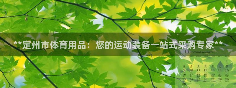 欧陆娱乐的故事：**定州市体育用品：您的运动装备一站