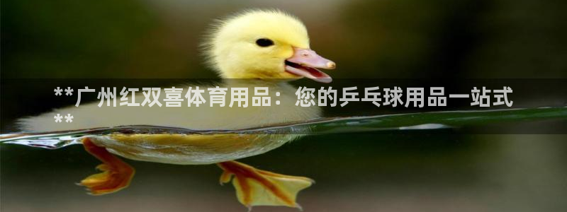 欧陆娱乐怎么注册会员账号啊：**广州红双喜体育用品：