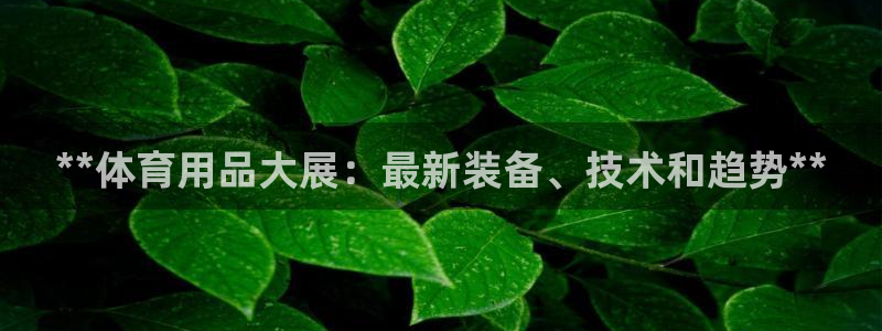 欧陆娱乐公司产品介绍：**体育用品大展：最新装备、技