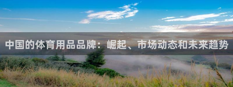 欧陆娱乐有限公司：中国的体育用品品牌：崛起、市场动态