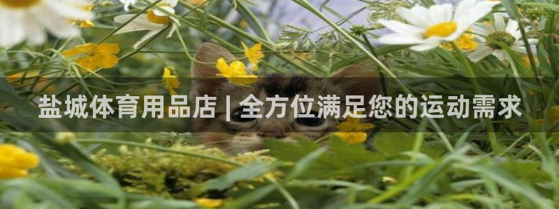欧陆游戏平台：盐城体育用品店 | 全方位满足您的运动