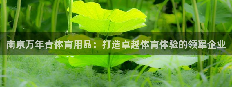 欧陆娱乐代理多少个点位：南京万年青体育用品：打造卓越