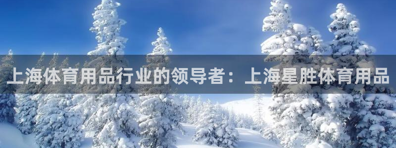 欧陆娱乐测速：上海体育用品行业的领导者：上海星胜体育