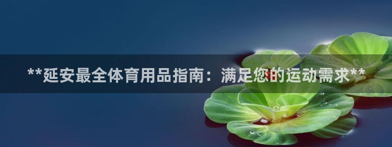 欧陆娱乐登录测速网站：**延安最全体育用品指南：满足