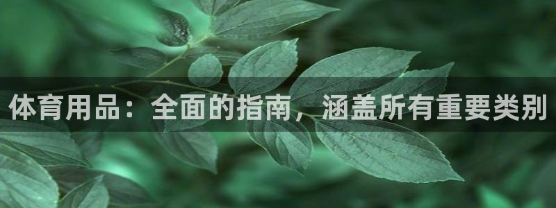 欧陆娱乐测试网站：体育用品：全面的指南，涵盖所有重要