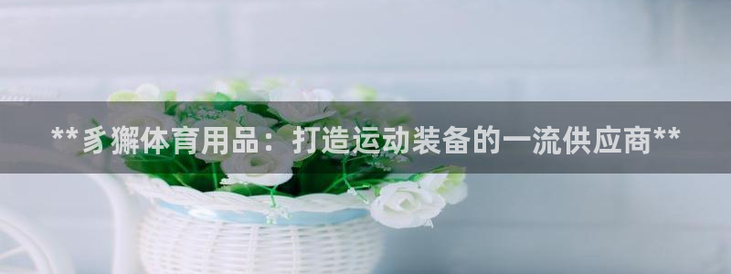 欧陆娱乐平台官网：**豸獬体育用品：打造运动装备的一