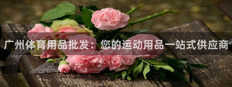 欧陆娱乐登陆平台下载：广州体育用品批发：您的运动用品